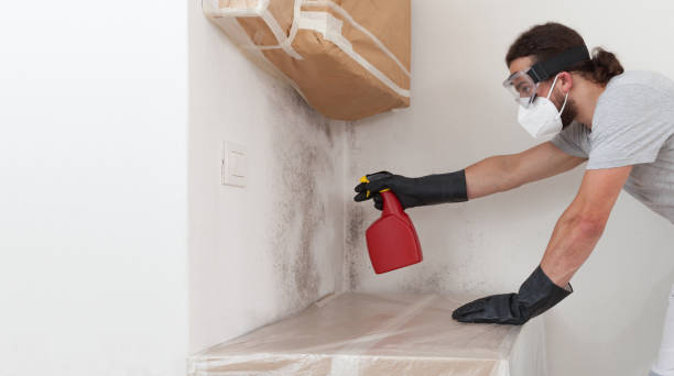 Professional Mold Inspection And Testing technician working in Dimondale, MI